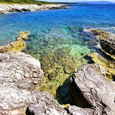 Apartment Agava Istria - Family Vacation Rental With Free Parking, Garden, Wifi Ližnjan Екстериор снимка