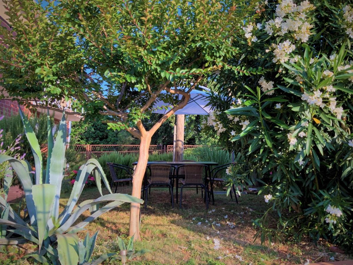 Apartment Agava Istria - Family Vacation Rental With Free Parking, Garden, Wifi Ližnjan Екстериор снимка