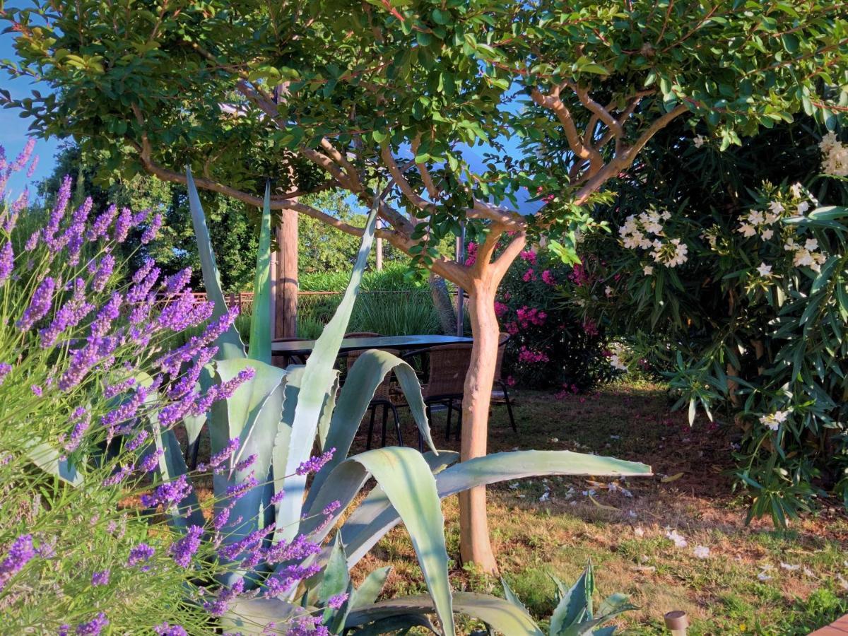 Apartment Agava Istria - Family Vacation Rental With Free Parking, Garden, Wifi Ližnjan Екстериор снимка