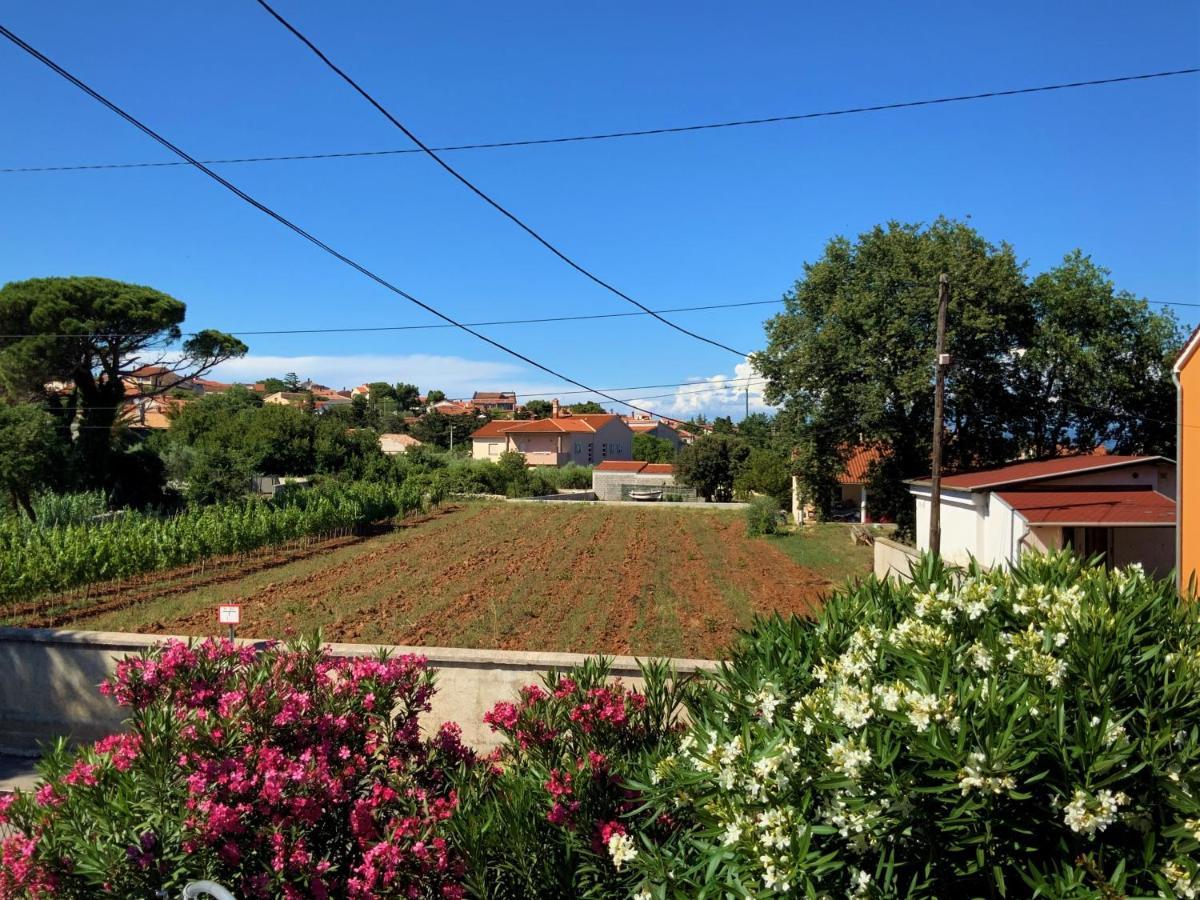 Apartment Agava Istria - Family Vacation Rental With Free Parking, Garden, Wifi Ližnjan Екстериор снимка