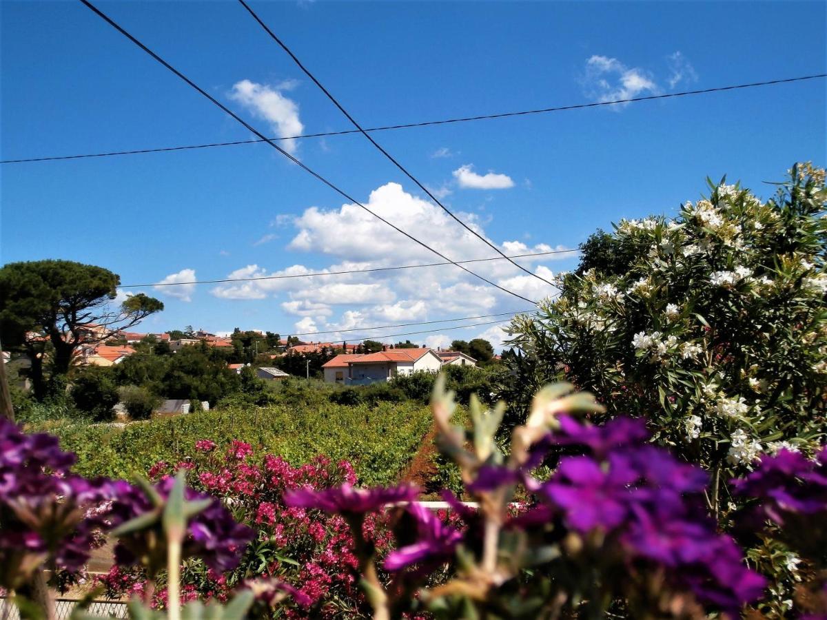 Apartment Agava Istria - Family Vacation Rental With Free Parking, Garden, Wifi Ližnjan Екстериор снимка