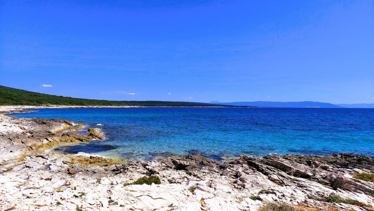 Apartment Agava Istria - Family Vacation Rental With Free Parking, Garden, Wifi Ližnjan Екстериор снимка