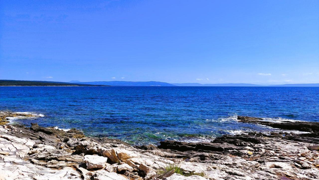 Apartment Agava Istria - Family Vacation Rental With Free Parking, Garden, Wifi Ližnjan Екстериор снимка