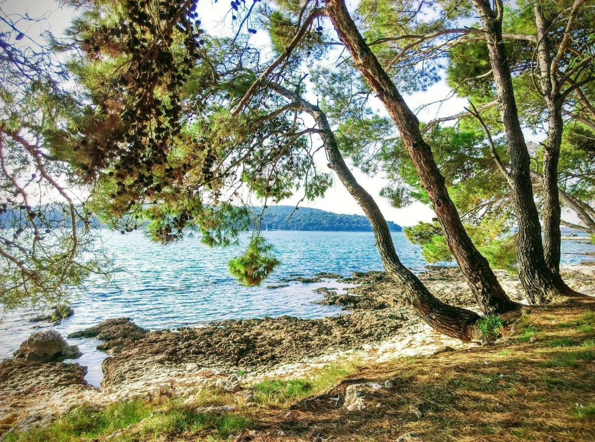 Apartment Agava Istria - Family Vacation Rental With Free Parking, Garden, Wifi Ližnjan Екстериор снимка