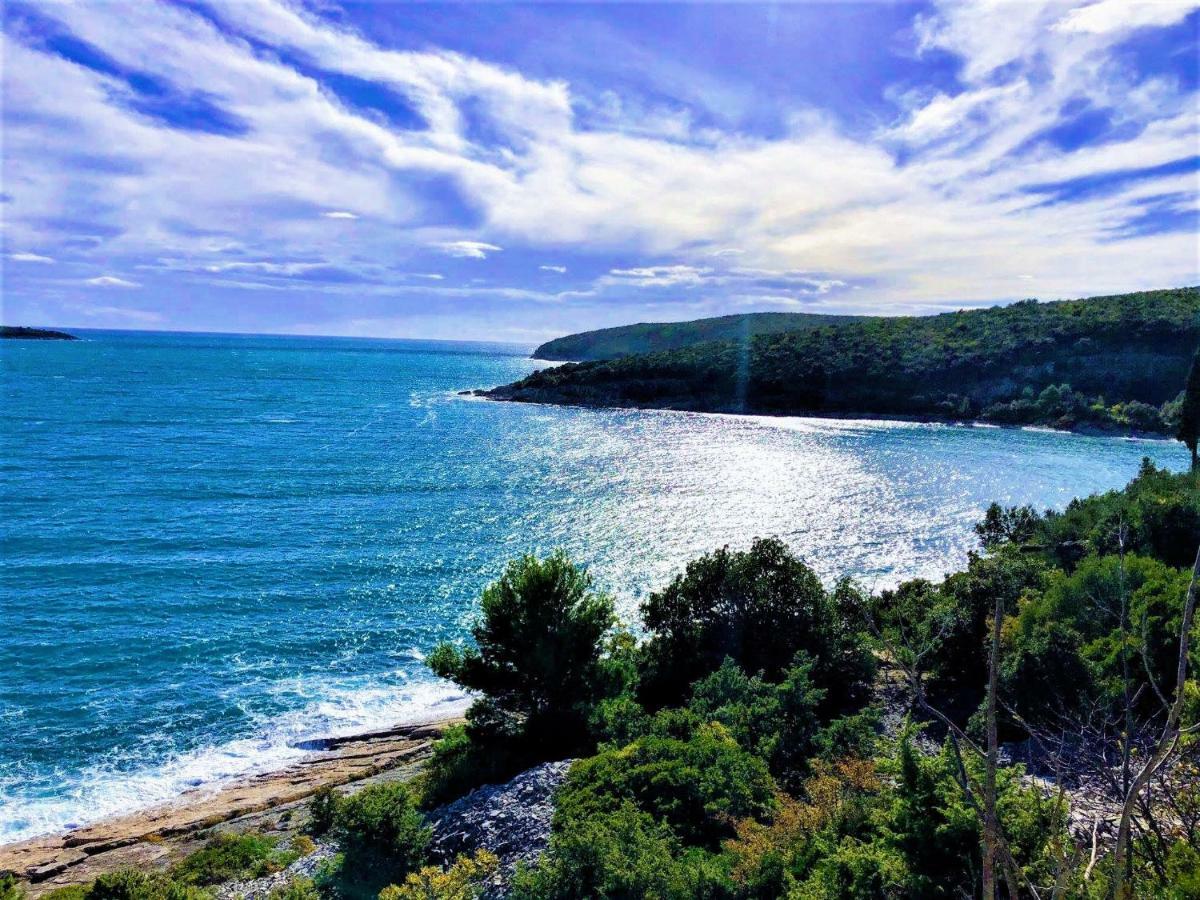 Apartment Agava Istria - Family Vacation Rental With Free Parking, Garden, Wifi Ližnjan Екстериор снимка